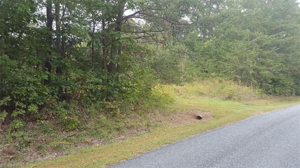 0 Big Oak Road Germanton, NC 27019 - Photo 5 of 9