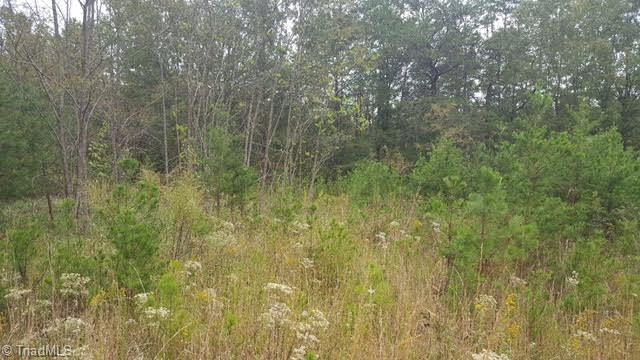 0 Big Oak Road Germanton, NC 27019 - Photo 6 of 9