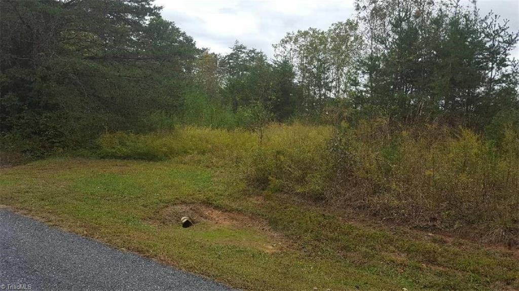 0 Big Oak Road Germanton, NC 27019 - Photo 8 of 9