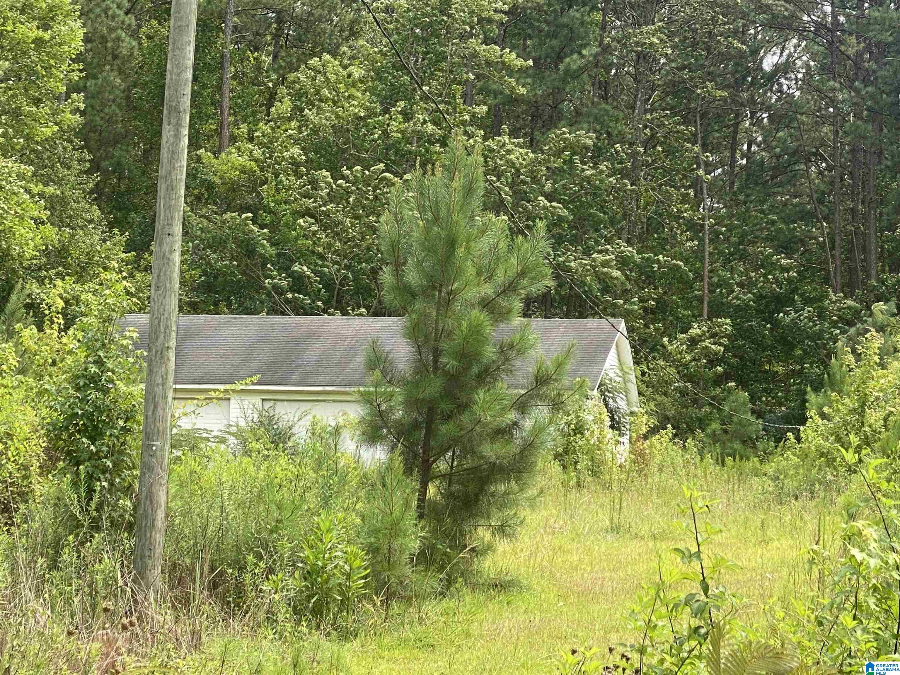 3525 Depot Street Riverside, AL 35135 - Photo 1 of 2