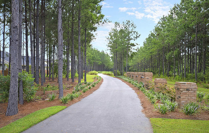 509 Squire Pope Road Summerville, SC 29486 - Photo 16 of 27 Cane Bay Trails