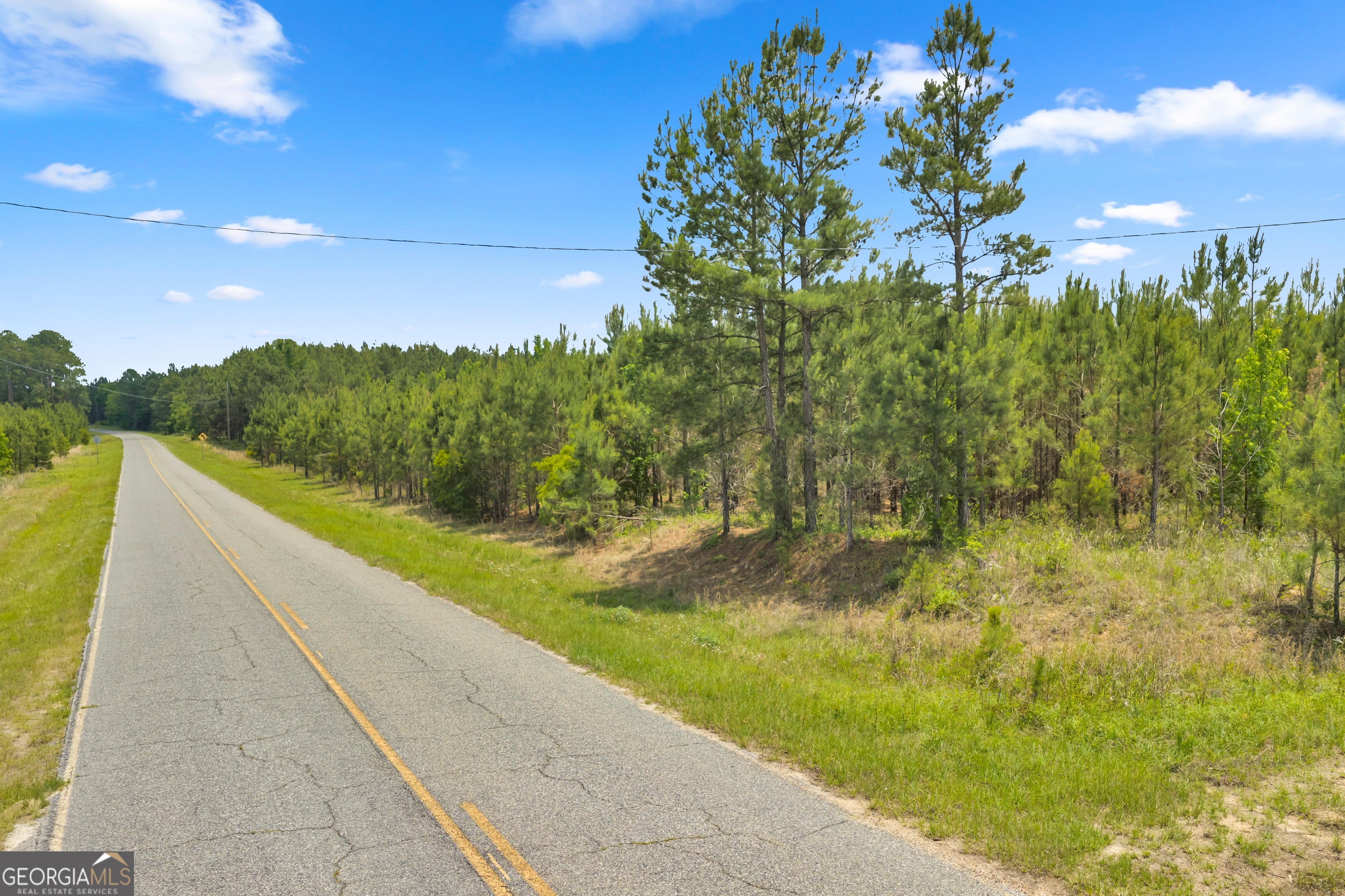 1 Trinity South Kite, GA 31049 - Photo 10 of 19