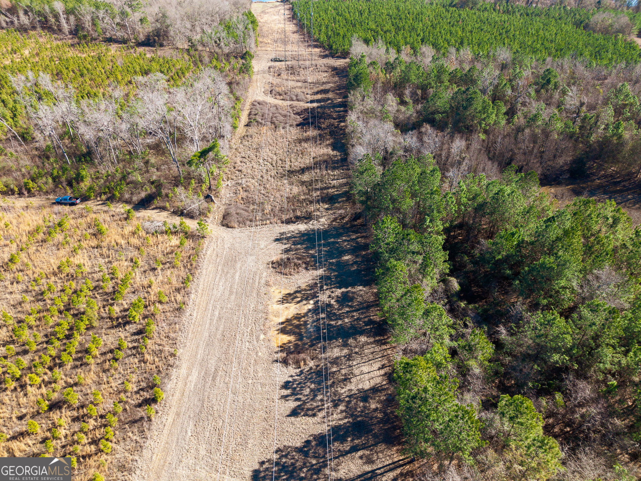 2527 Henry Moxley Road Cobbtown, GA 30420 - Photo 11 of 30 a view of a yard with plants and large trees