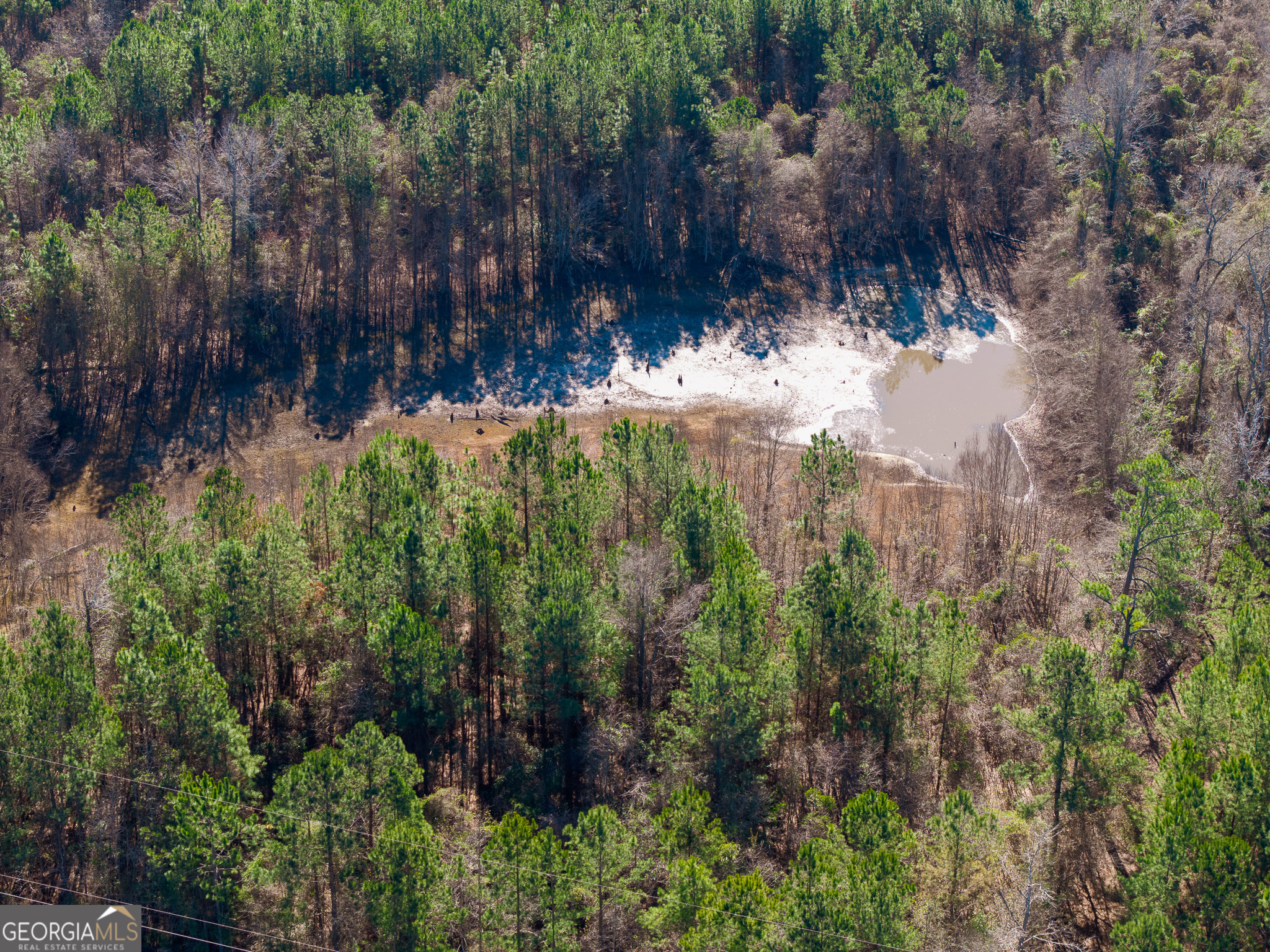 2527 Henry Moxley Road Cobbtown, GA 30420 - Photo 13 of 30 a view of a yard with plants and large trees
