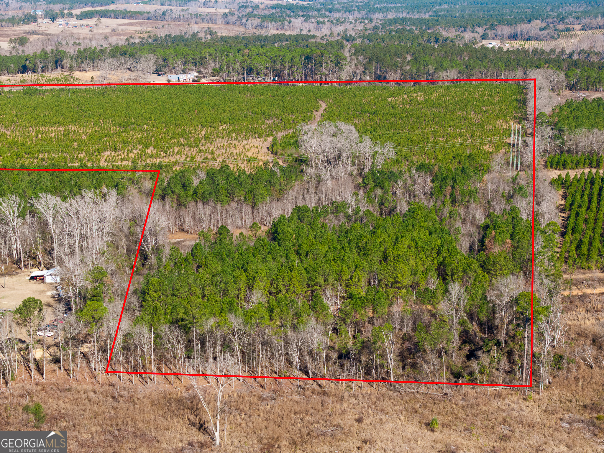 2527 Henry Moxley Road Cobbtown, GA 30420 - Photo 14 of 30 an aerial view of a houses with outdoor space and trees