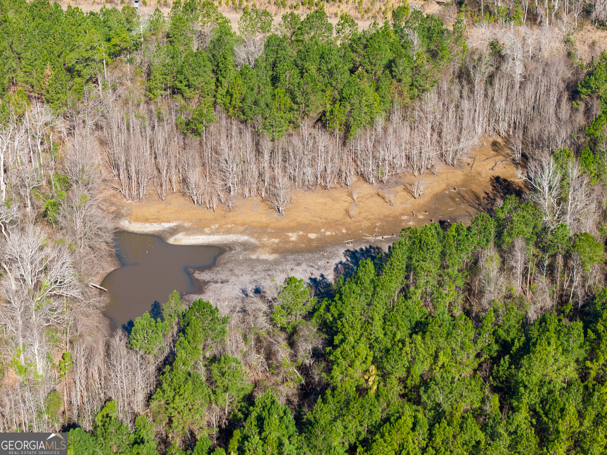 2527 Henry Moxley Road Cobbtown, GA 30420 - Photo 15 of 30 a view of a yard with plants and a bench with wooden fence
