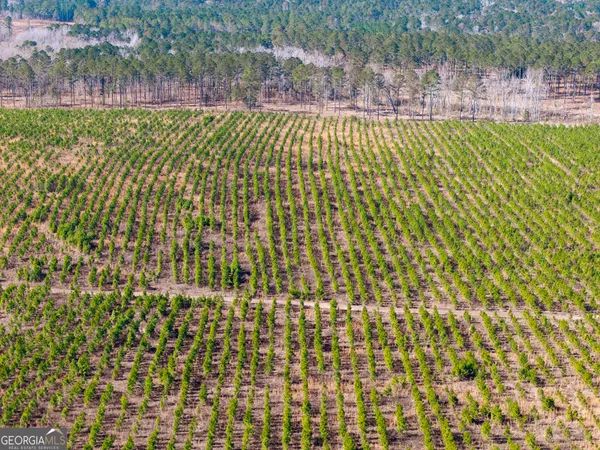 a picture of a garden