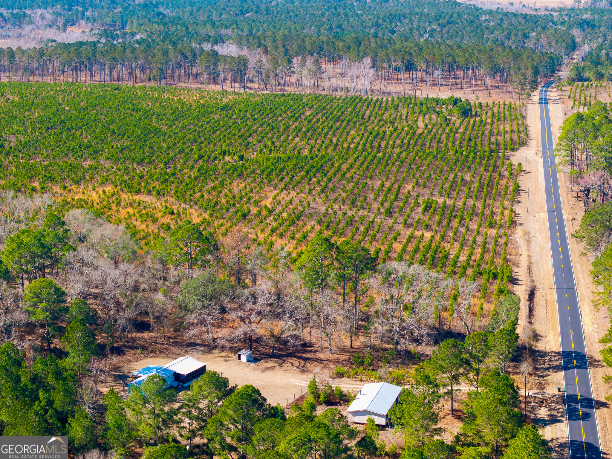2527 Henry Moxley Road Cobbtown, GA 30420 - Photo 18 of 30 a garden view