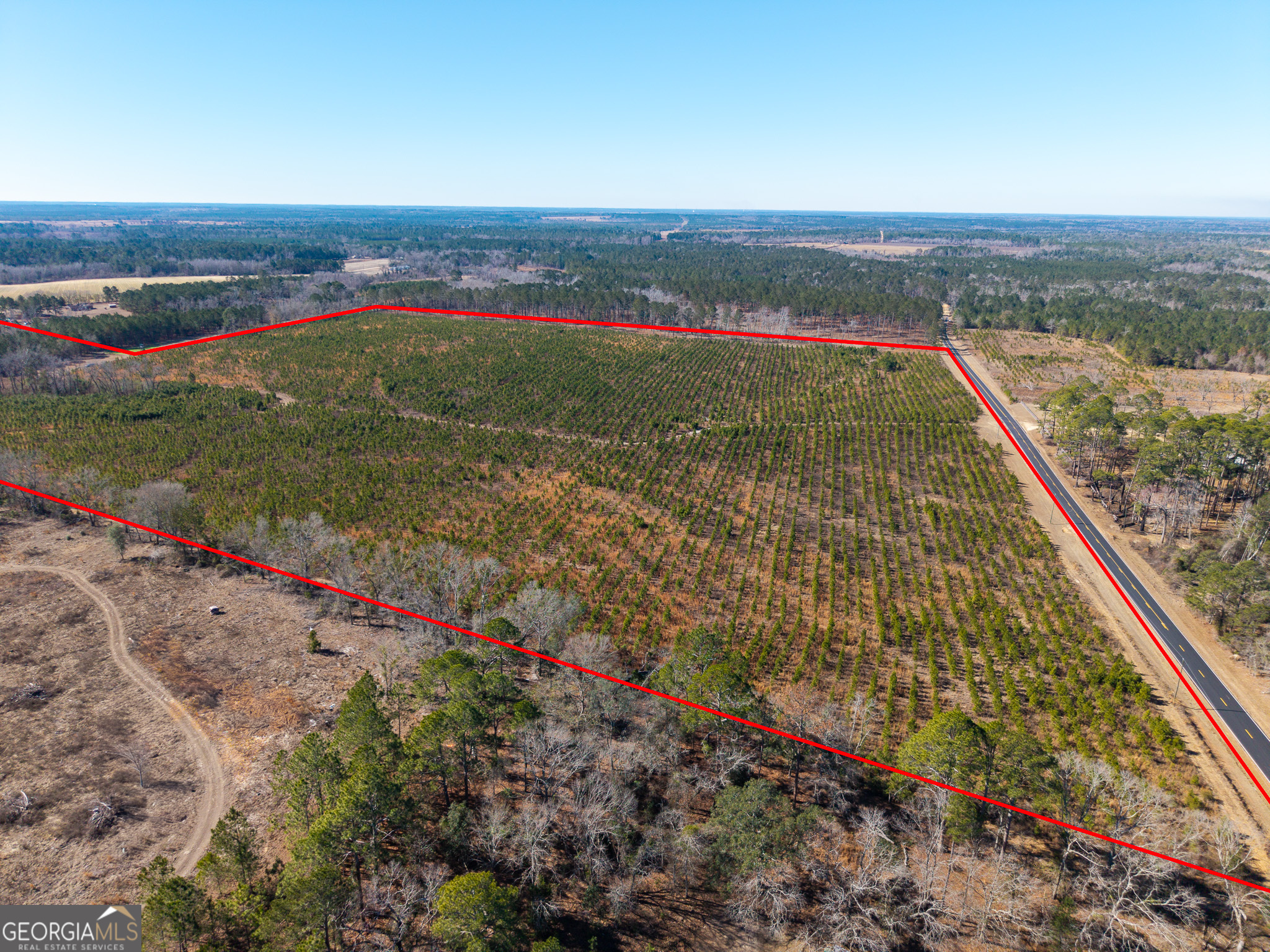 2527 Henry Moxley Road Cobbtown, GA 30420 - Photo 19 of 30 a view of a yard with an ocean