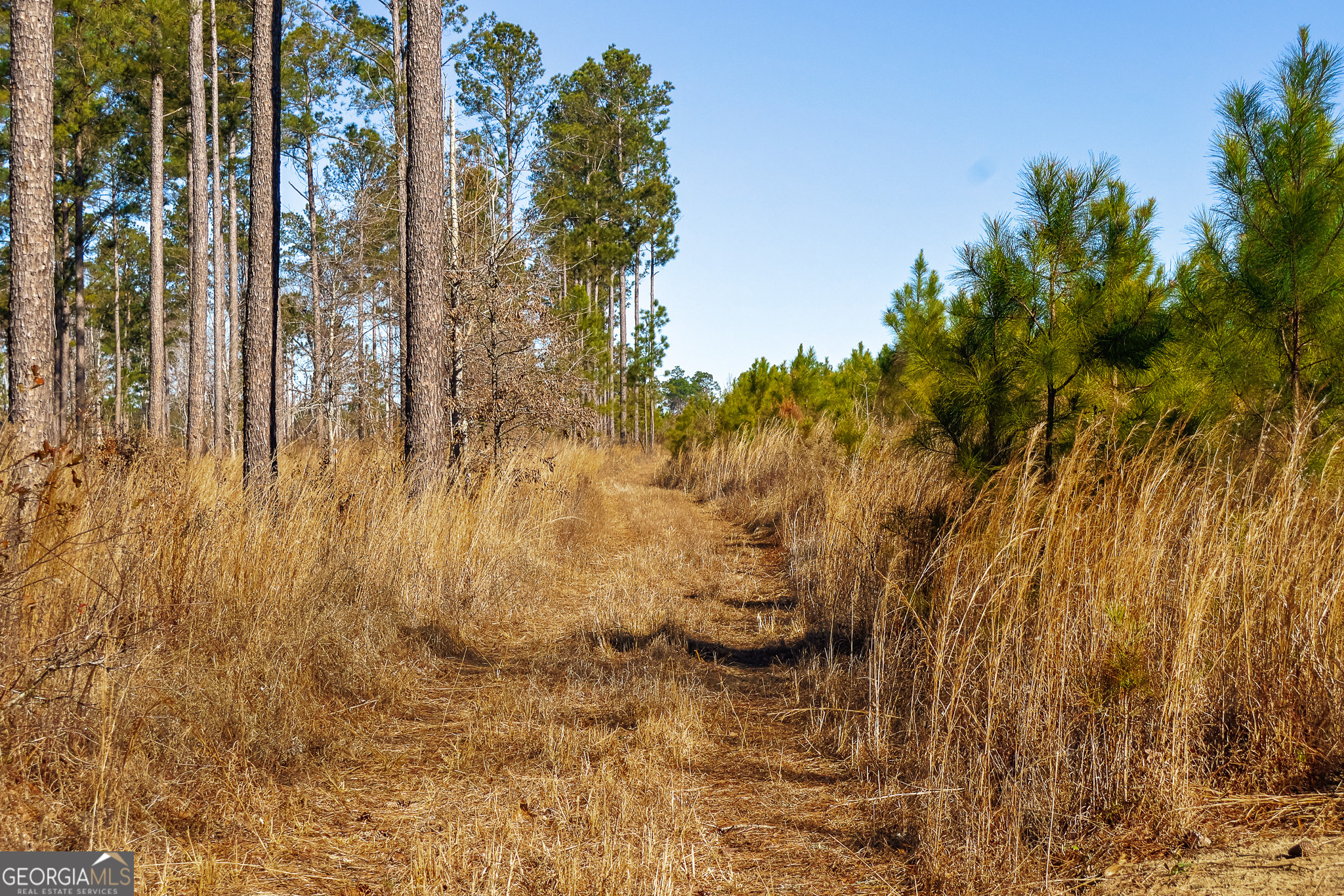 2527 Henry Moxley Road Cobbtown, GA 30420 - Photo 2 of 30 a view of lake view