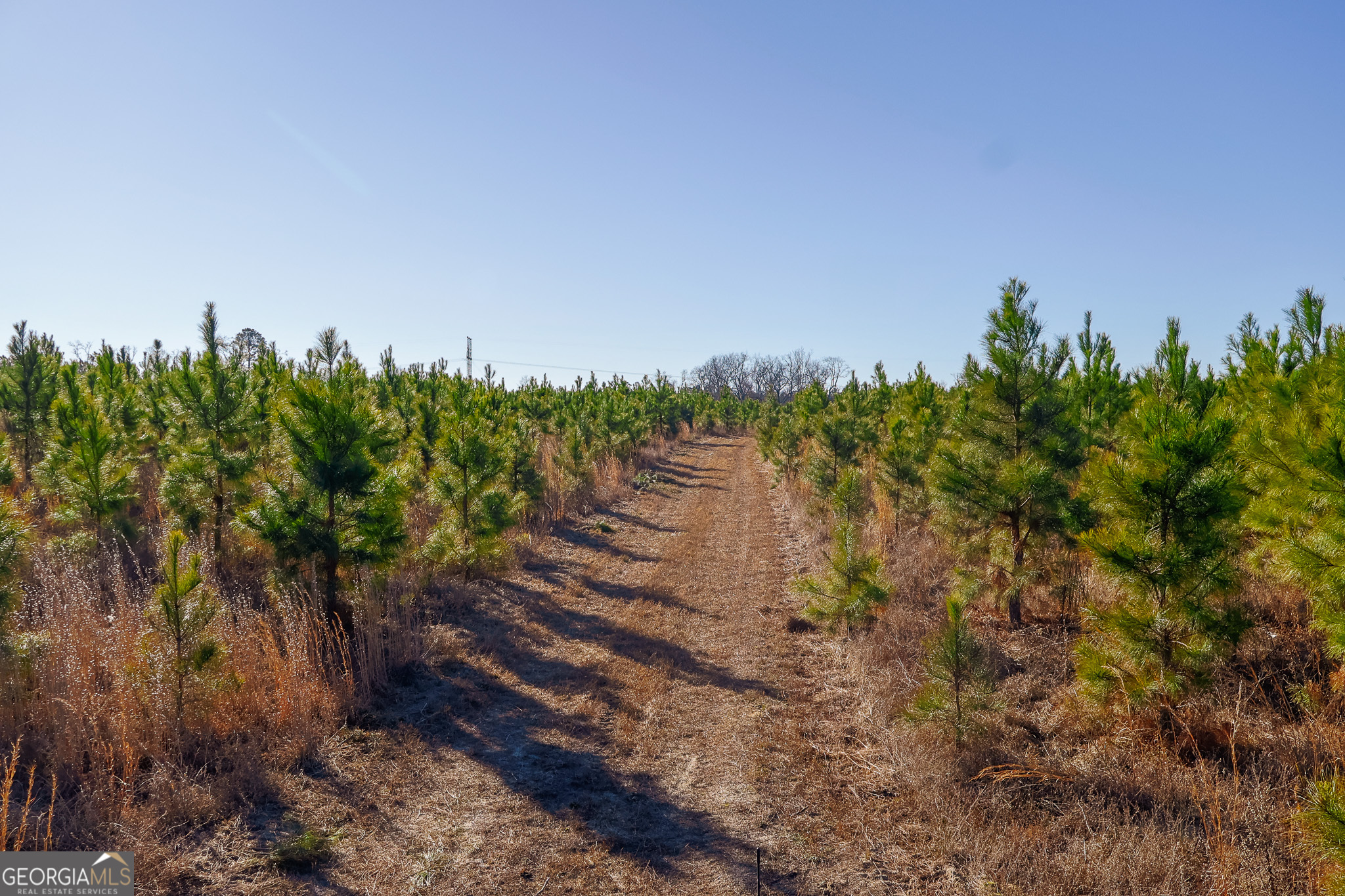 2527 Henry Moxley Road Cobbtown, GA 30420 - Photo 24 of 30 a view of a lake with a building in the background