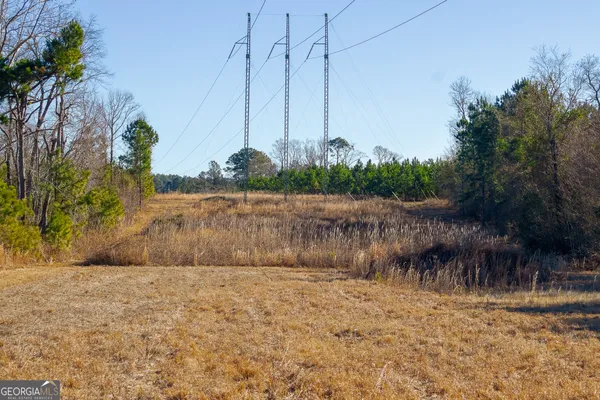 a view of a yard