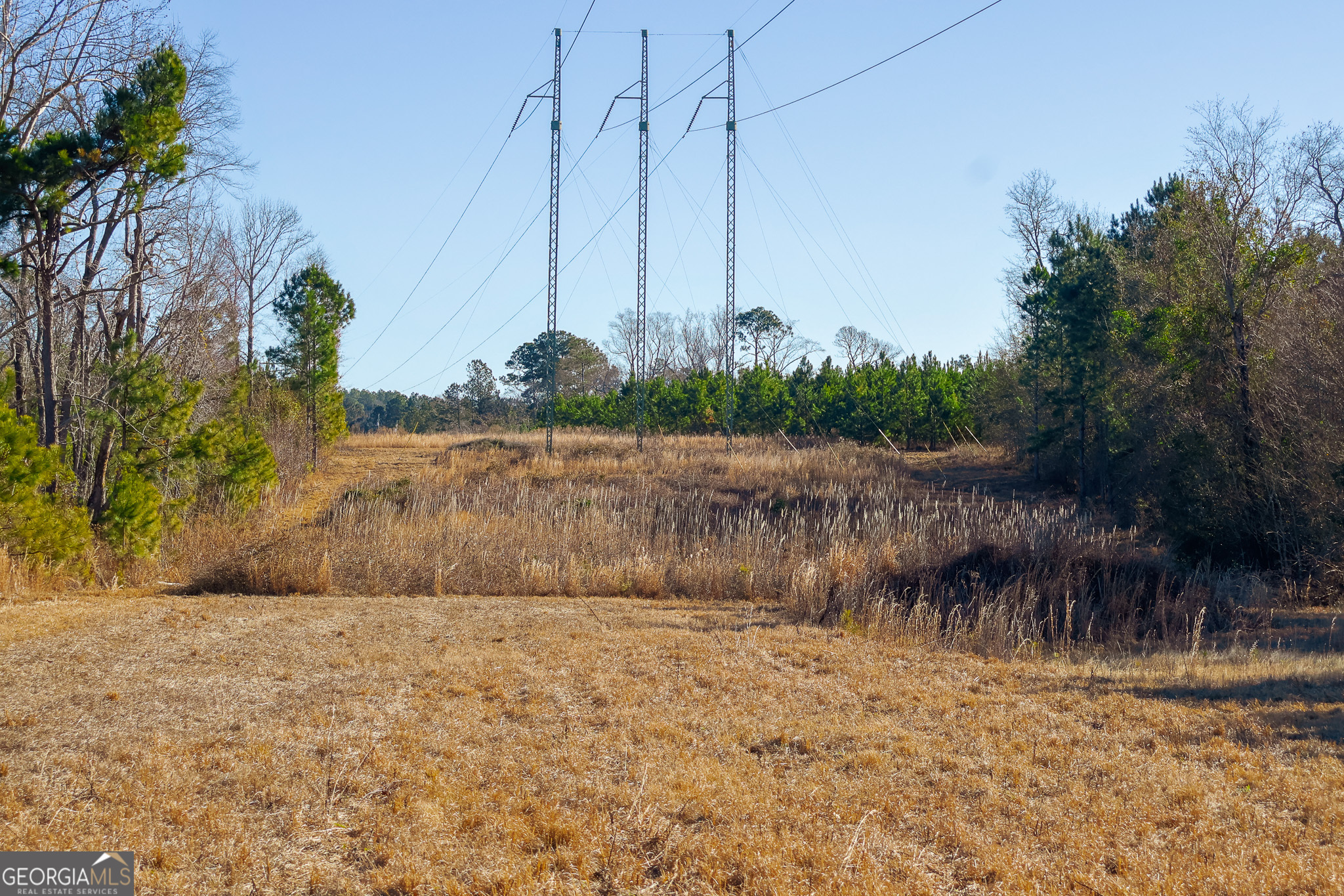 2527 Henry Moxley Road Cobbtown, GA 30420 - Photo 25 of 30 a view of a yard
