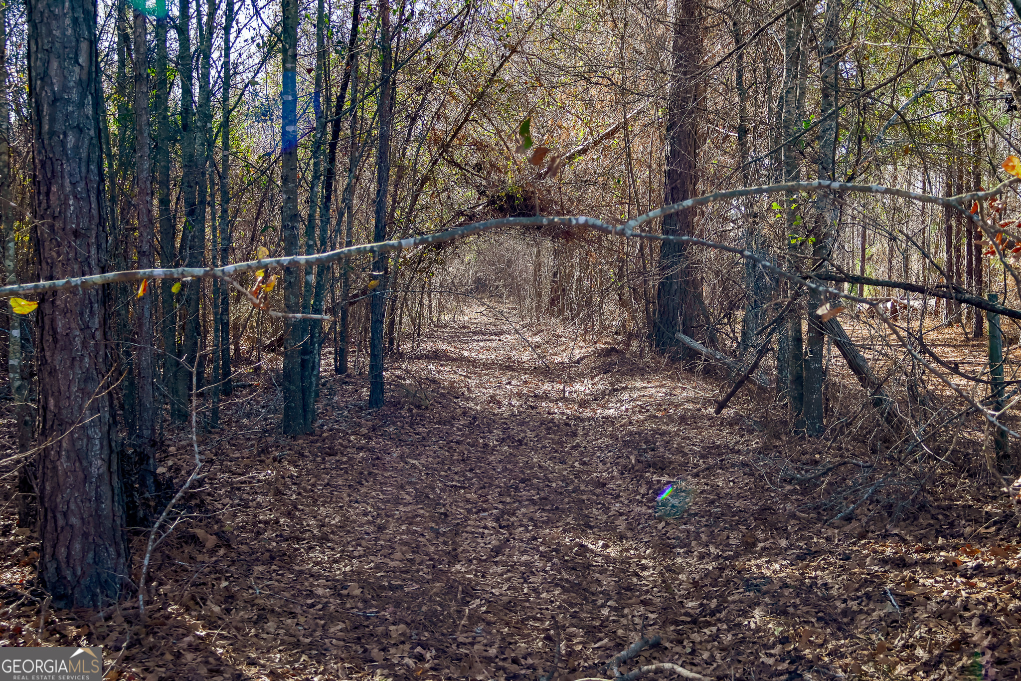 2527 Henry Moxley Road Cobbtown, GA 30420 - Photo 26 of 30 a view of a yard with a wooden fence