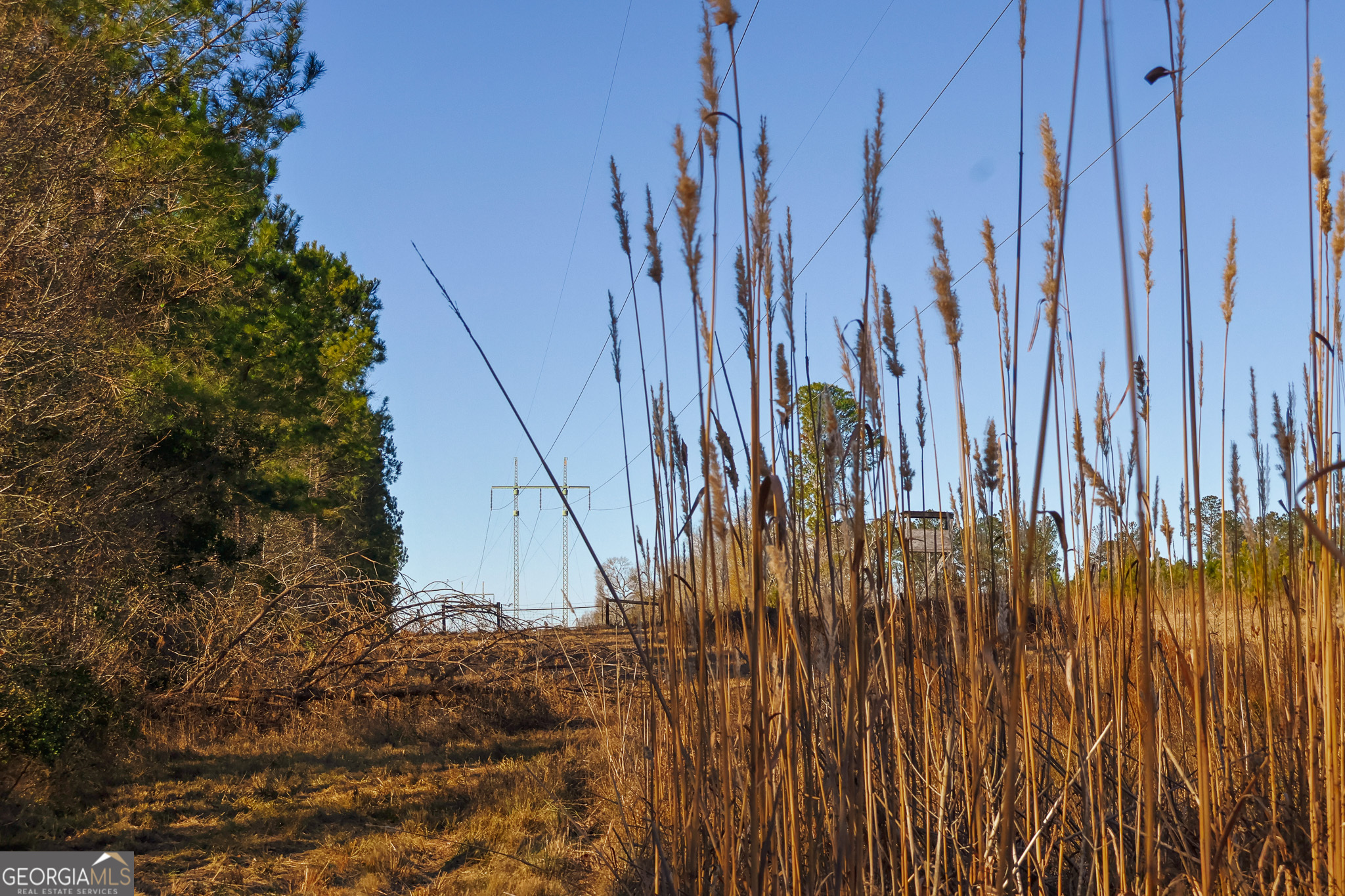 2527 Henry Moxley Road Cobbtown, GA 30420 - Photo 27 of 30 a view of small yard