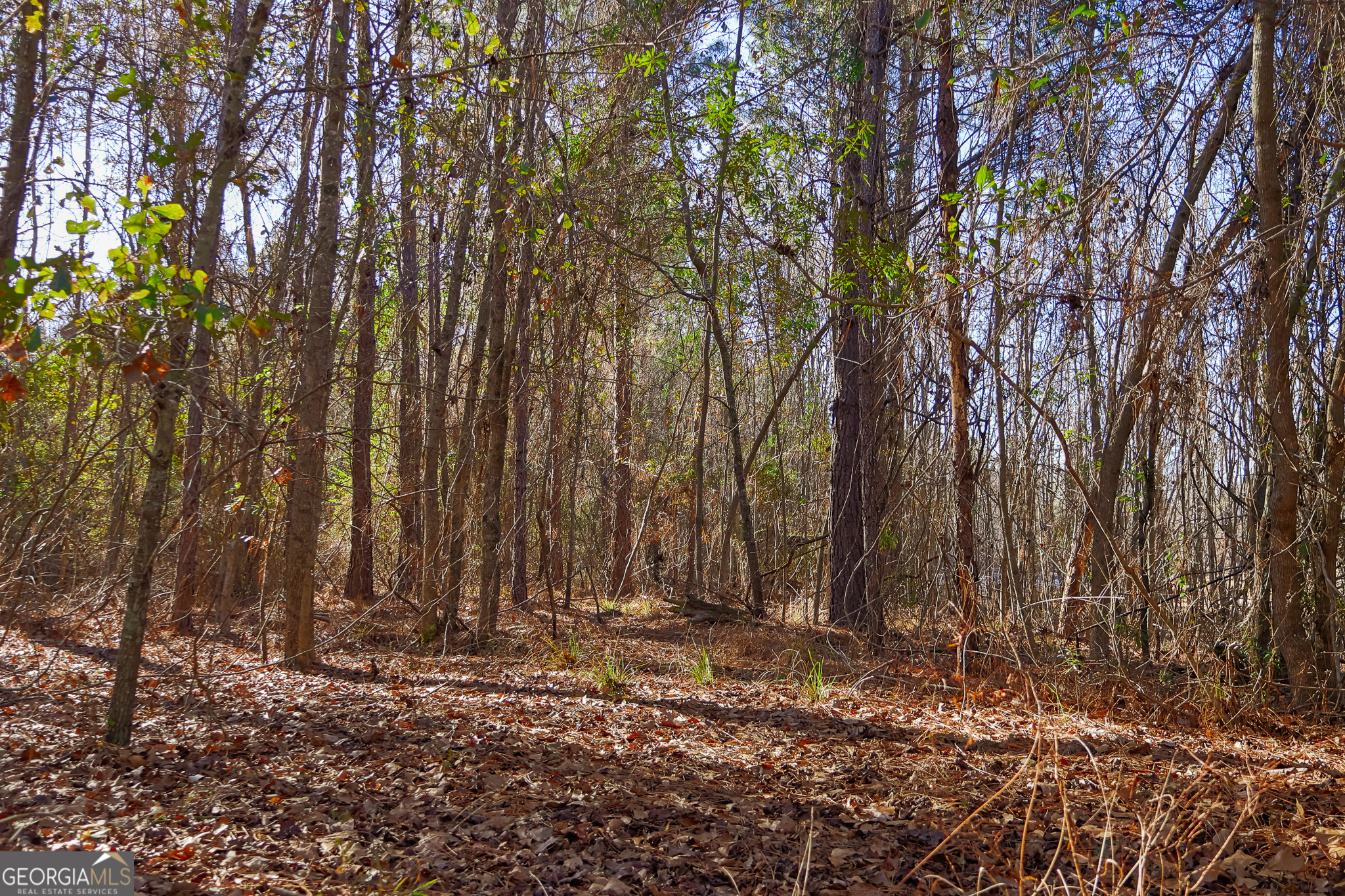 2527 Henry Moxley Road Cobbtown, GA 30420 - Photo 28 of 30 a view of outdoor space with deck and tree