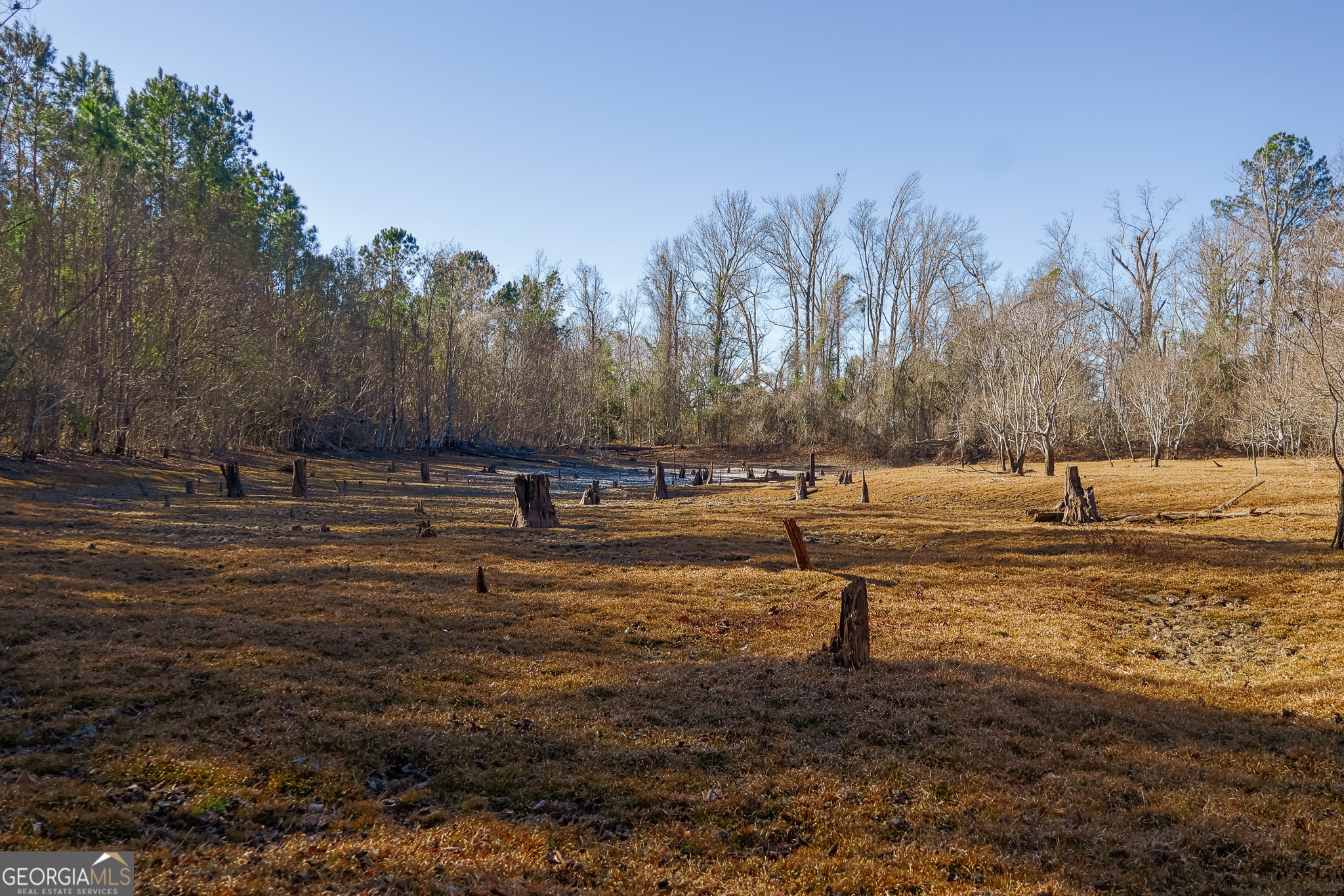 2527 Henry Moxley Road Cobbtown, GA 30420 - Photo 29 of 30 a view of ocean view with lots of trees