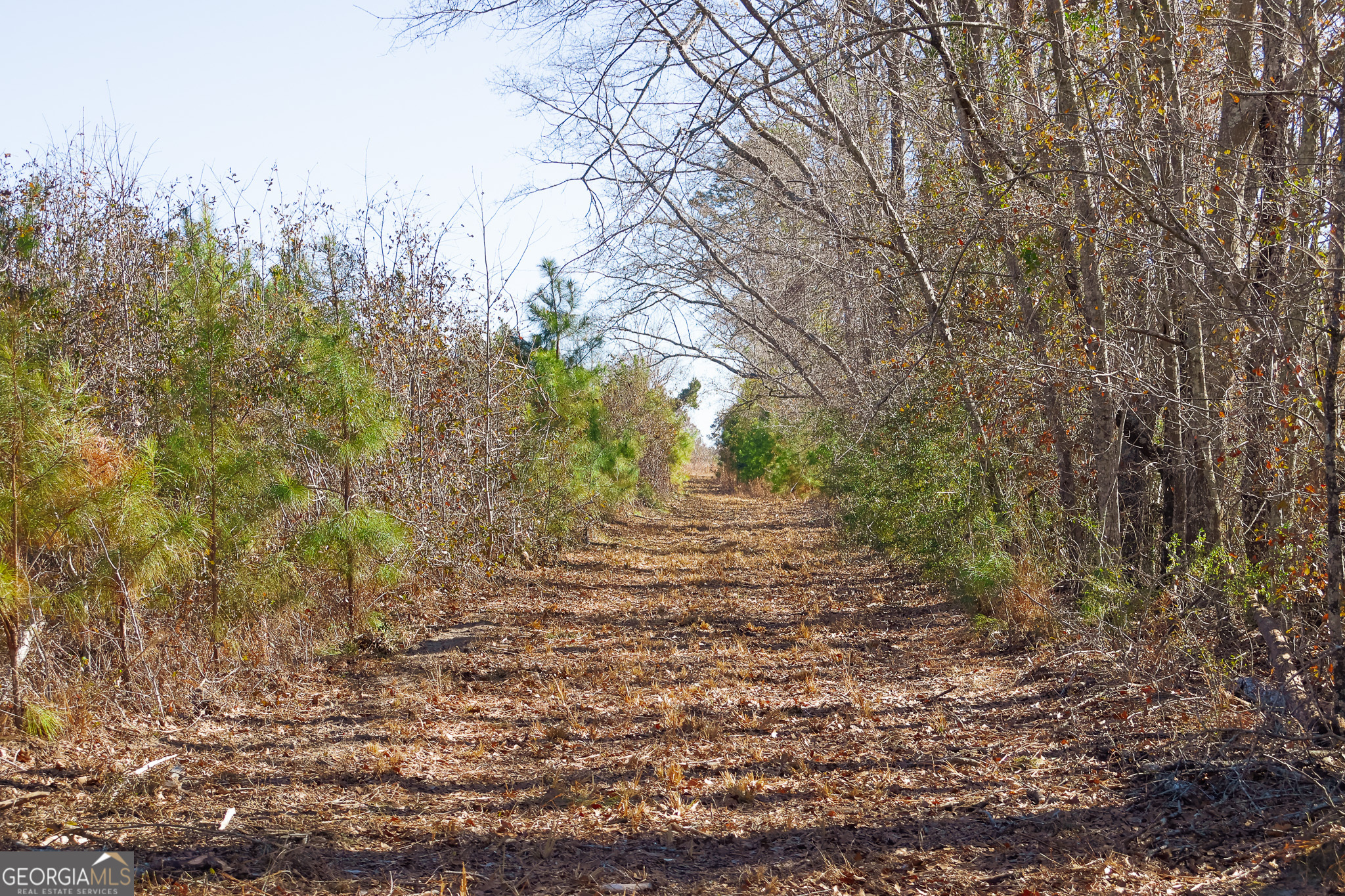 2527 Henry Moxley Road Cobbtown, GA 30420 - Photo 30 of 30 a view of outdoor space and yard