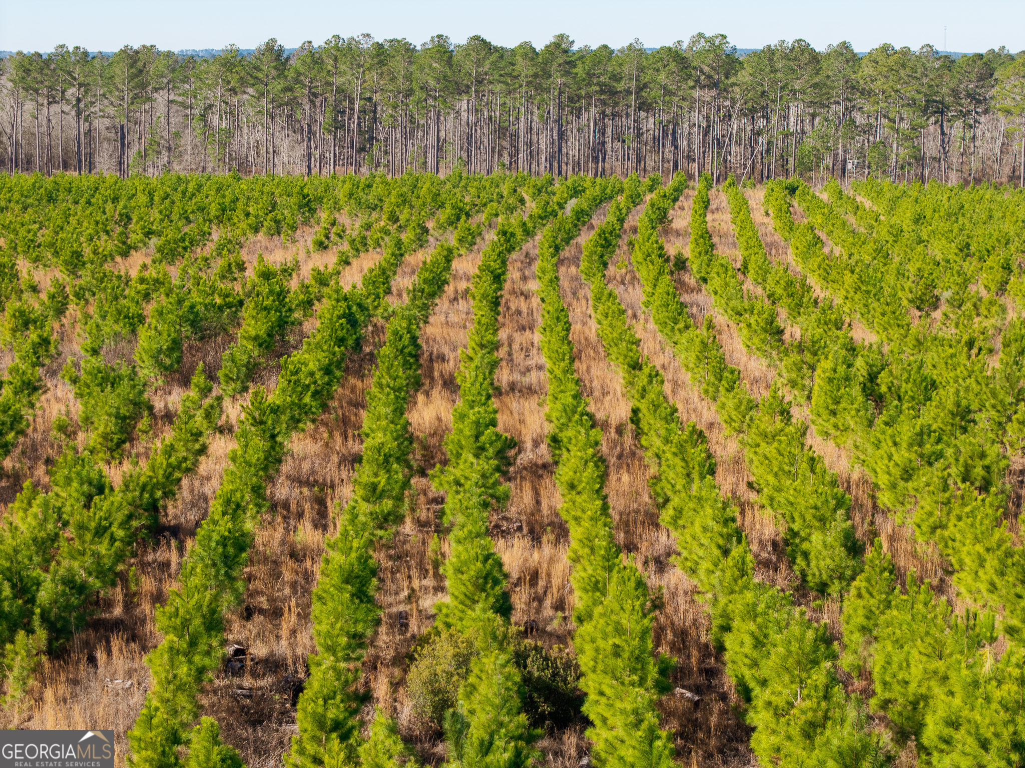 2527 Henry Moxley Road Cobbtown, GA 30420 - Photo 3 of 30 a view of an outdoor space and a lake view