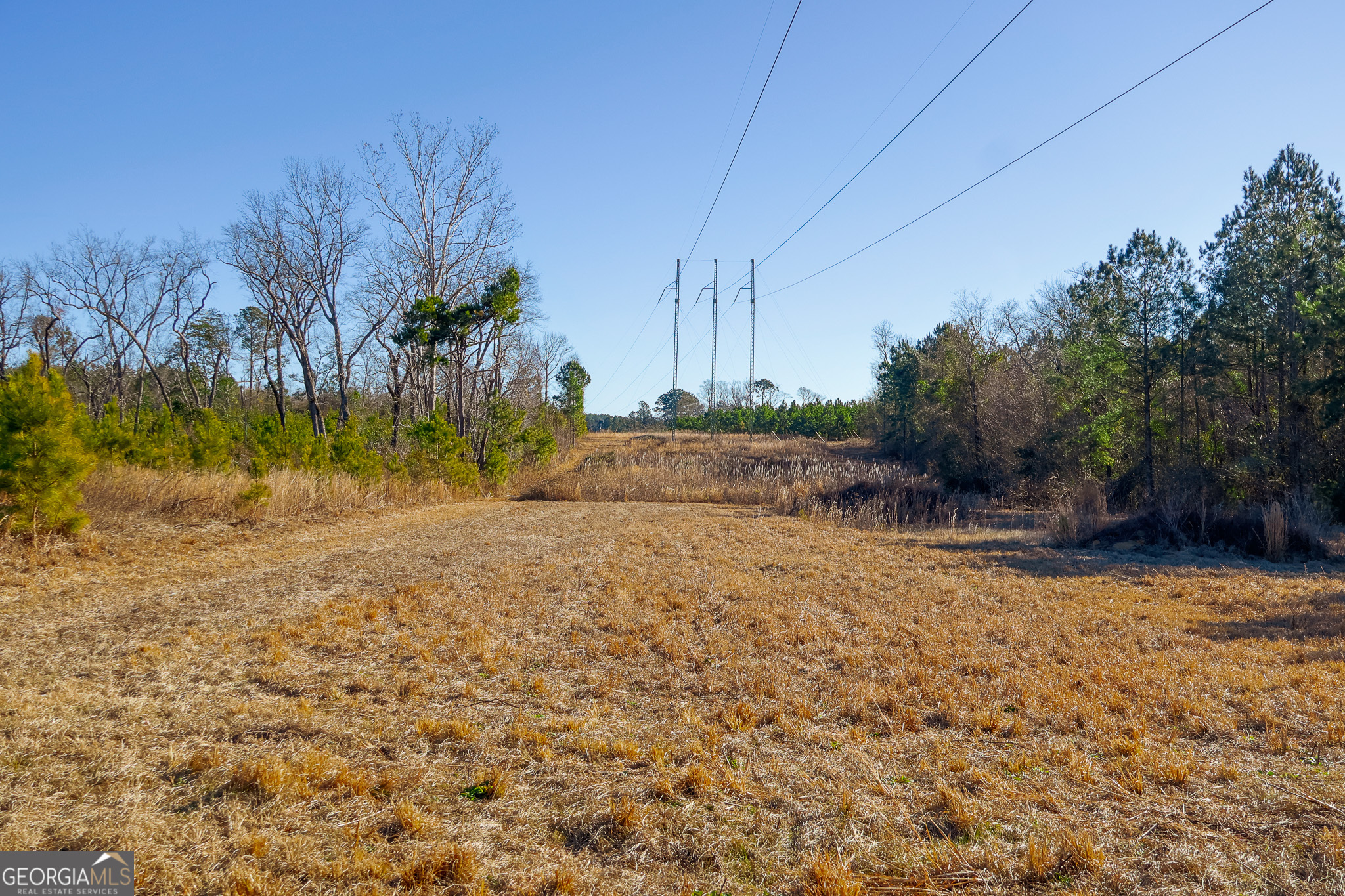 2527 Henry Moxley Road Cobbtown, GA 30420 - Photo 7 of 30 a backyard of a house