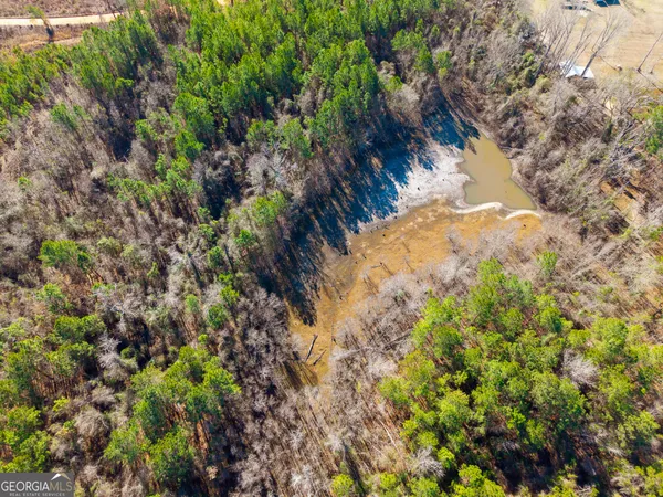 a view of a garden with plants