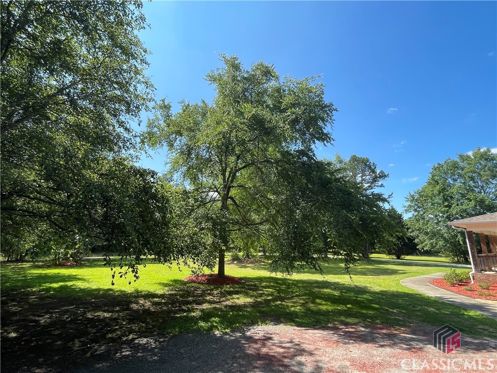 491 Smith Road Hull, GA 30646 - Photo 12 of 23 Front Yard