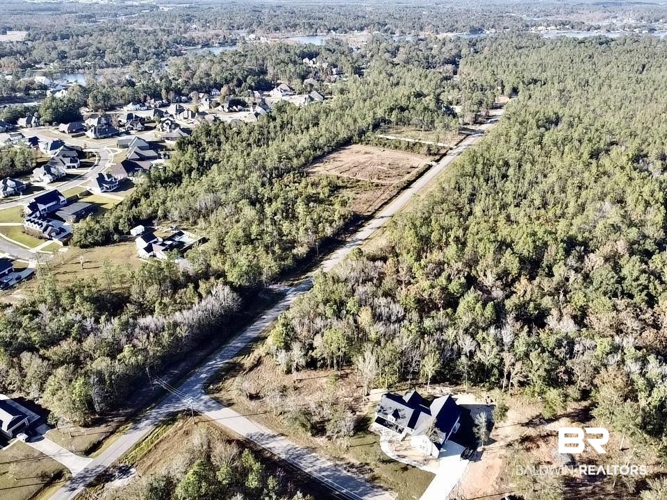 0 Riverview Pointe Drive Theodore, AL 36582 - Photo 20 of 21