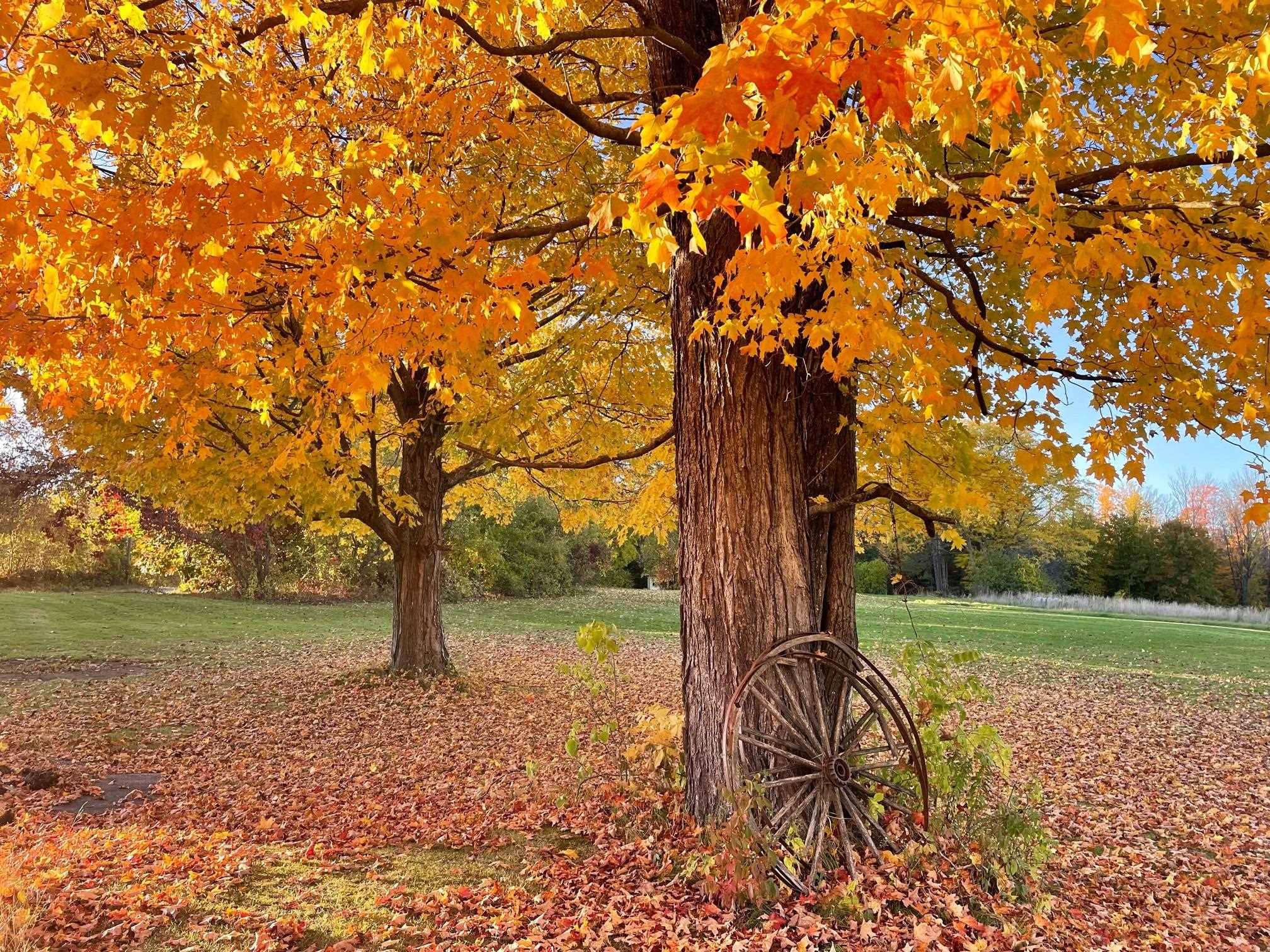 1 Smith Road Antrim, NH 03440 - Photo 33 of 40