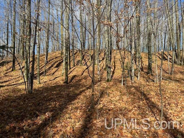 325 Mastodon Road Crystal Falls, MI 49920 - Photo 34 of 39