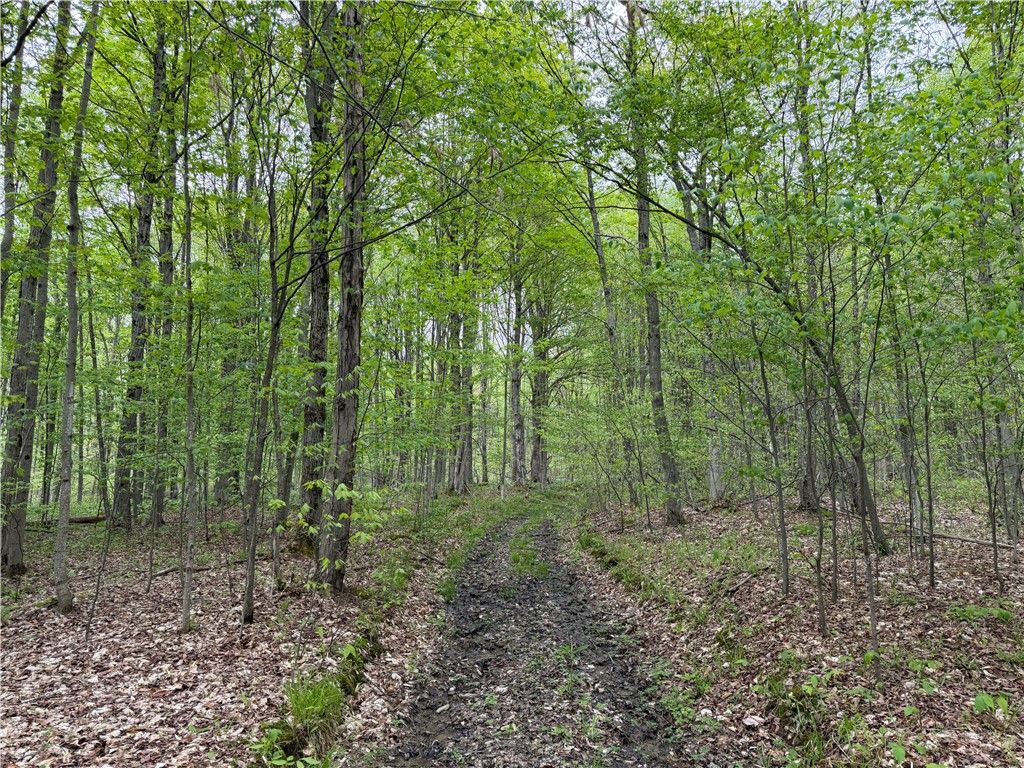 Vl Vl Lyndon Abbott Road Franklinville, NY 14737 - Photo 23 of 50