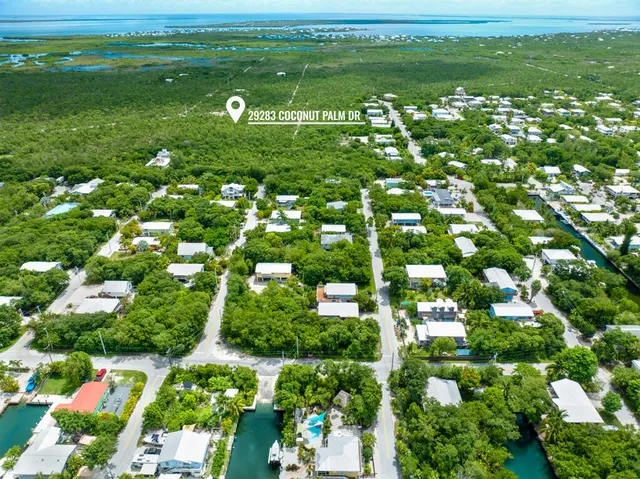 an aerial view of a house with a yard and potted plants