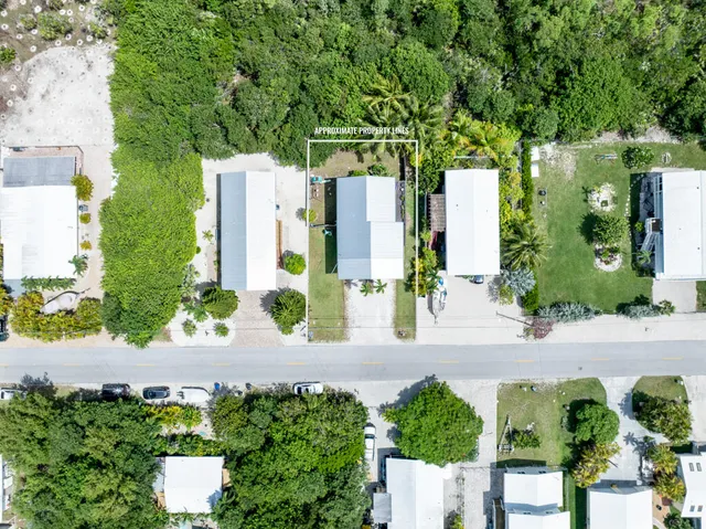 an aerial view of a house with a yard and potted plants