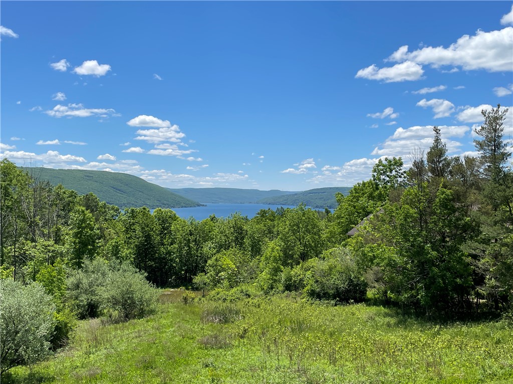 5491 Seneca Point Road South Bristol, NY 14424 - Photo 49 of 50