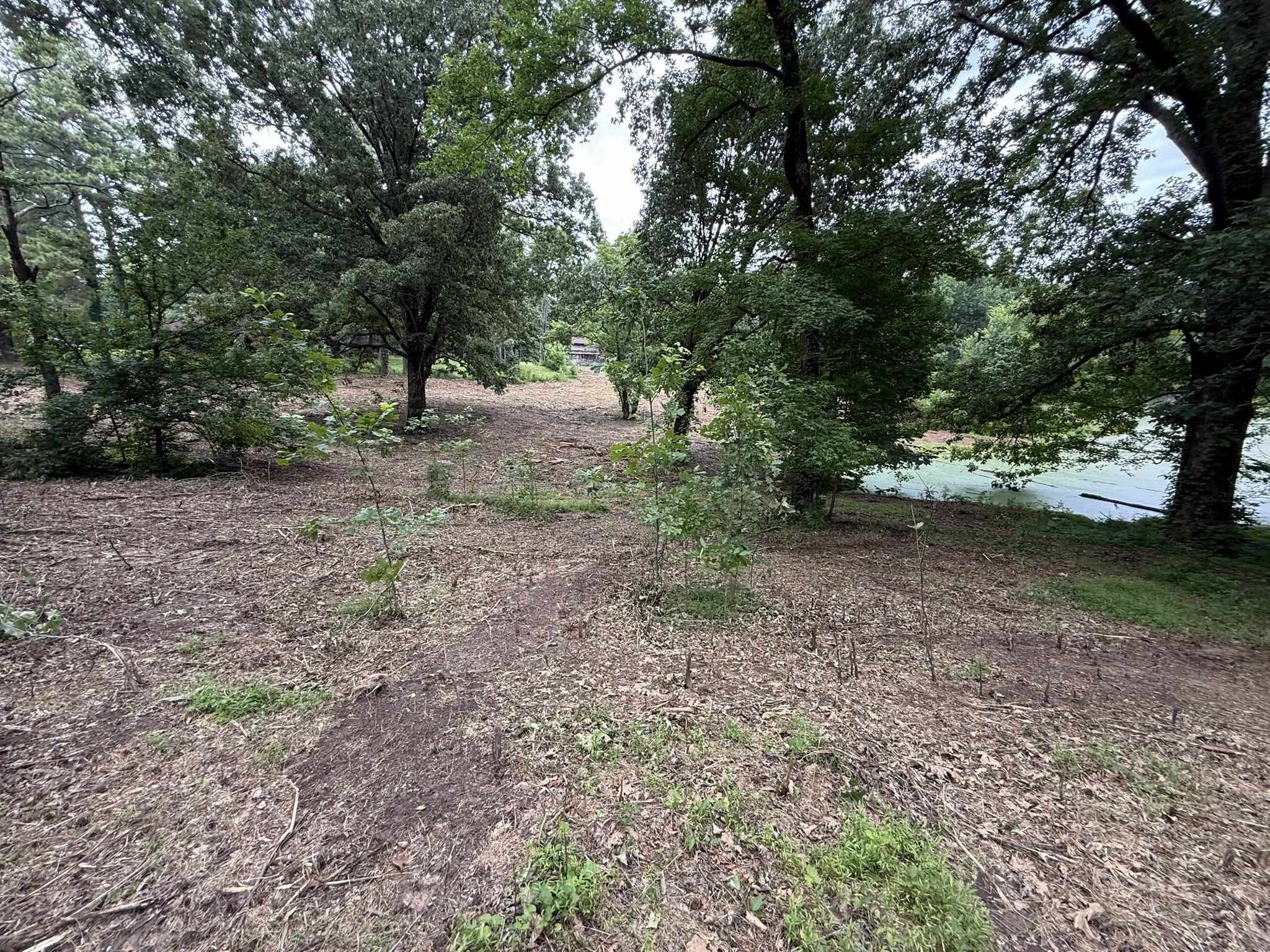 6760 Locke Road Millington, TN 38053 - Photo 37 of 39 Wooded landscape featuring mature trees and natural ground cover