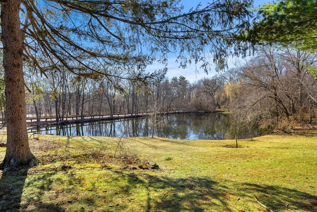 873 Chestnut Street Newton, MA 02468 - Photo 42 of 42