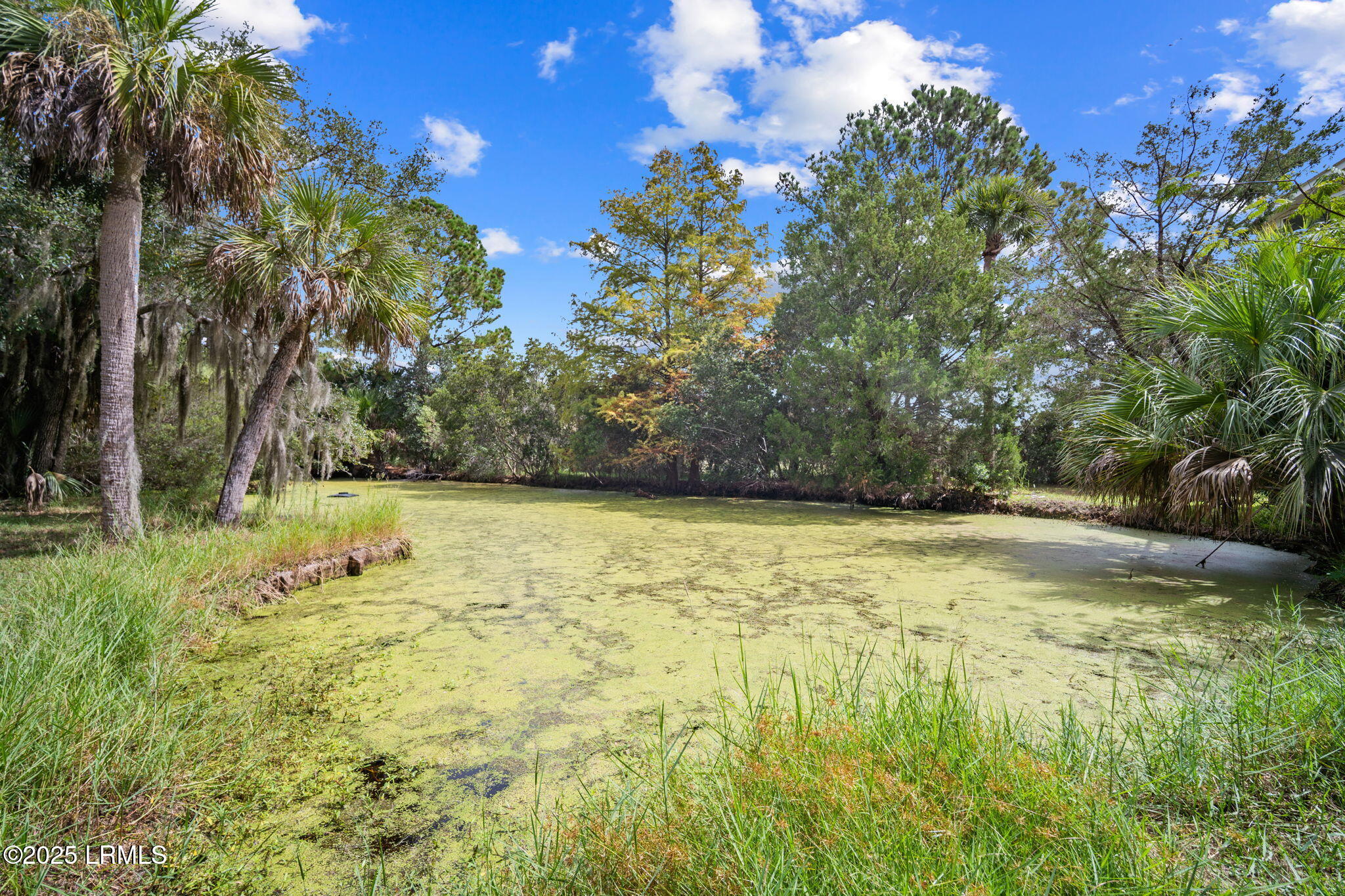 45 Vinel Lane Bluffton, SC 29910 - Photo 13 of 37 13