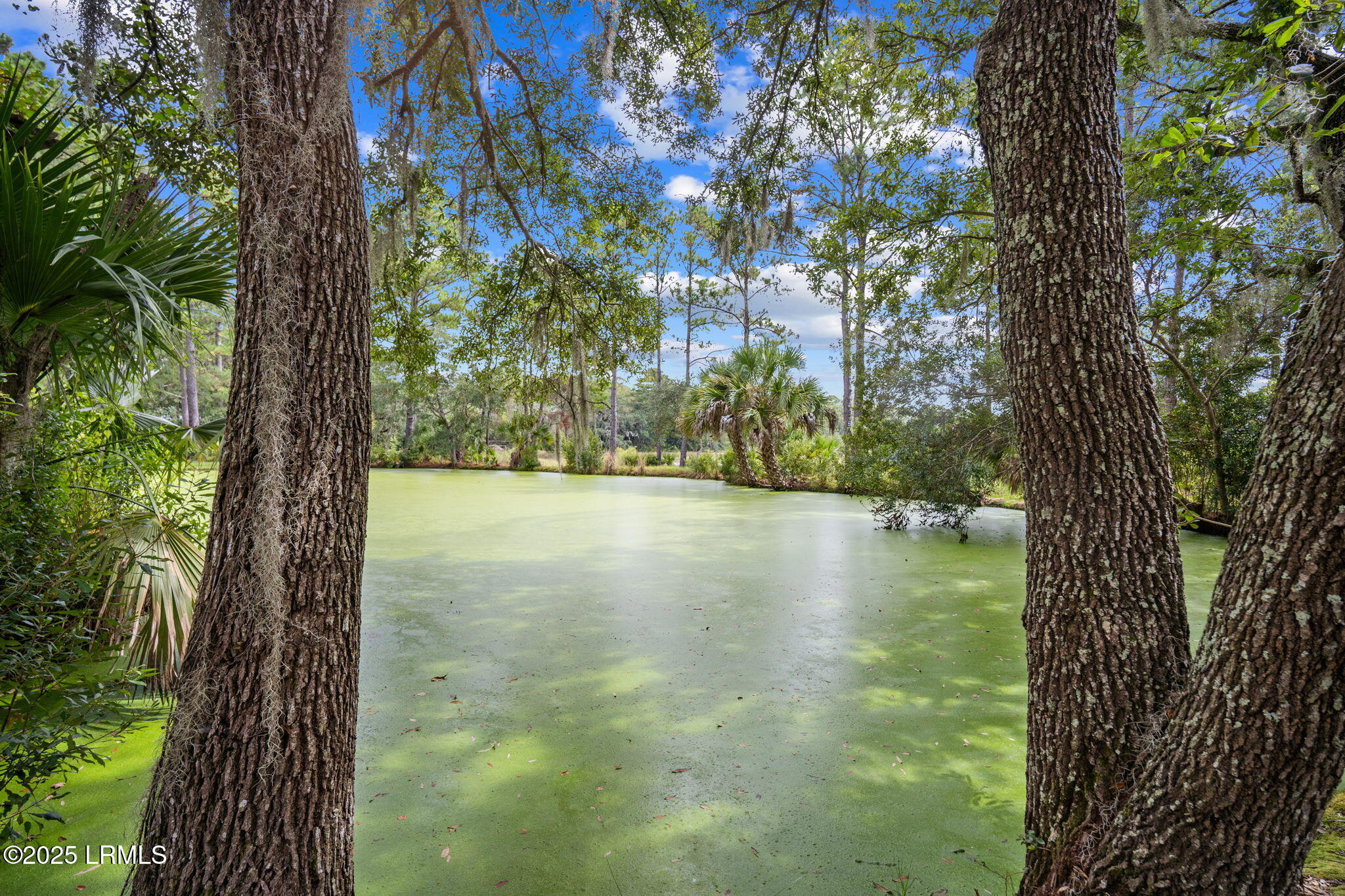 45 Vinel Lane Bluffton, SC 29910 - Photo 16 of 37 16