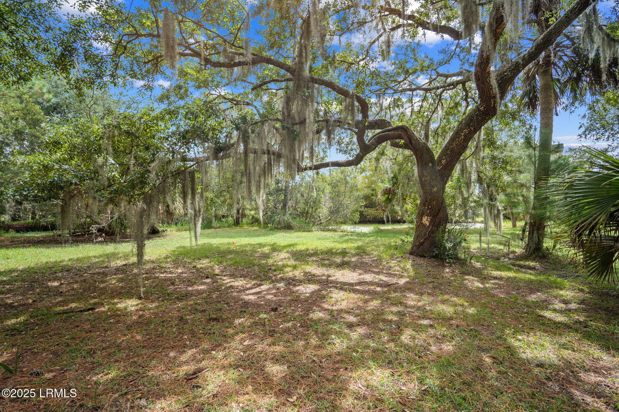 45 Vinel Lane Bluffton, SC 29910 - Photo 17 of 37 17