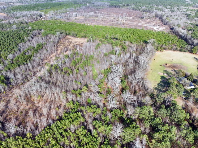 0 Rafting Creek Rembert, SC 29128 - Photo 2 of 3 Gallery Image 2