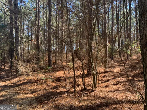 a backyard of a house with large trees