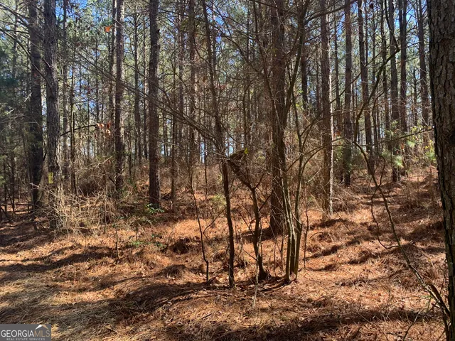 a backyard of a house with large trees