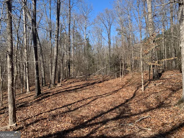 a view of a backyard of the house