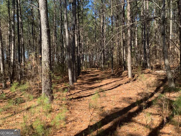 a view of wooden fence and trees