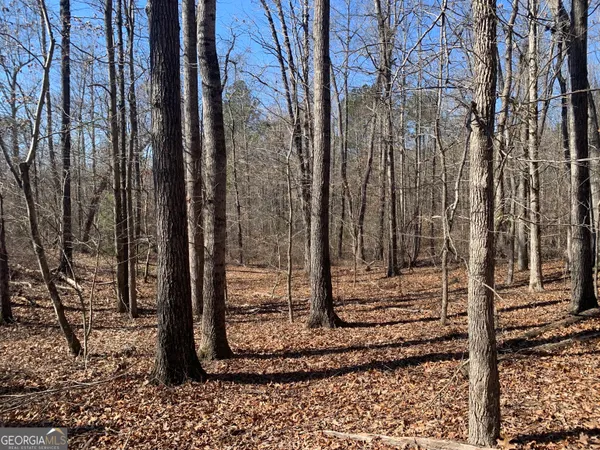 a view of a bird door