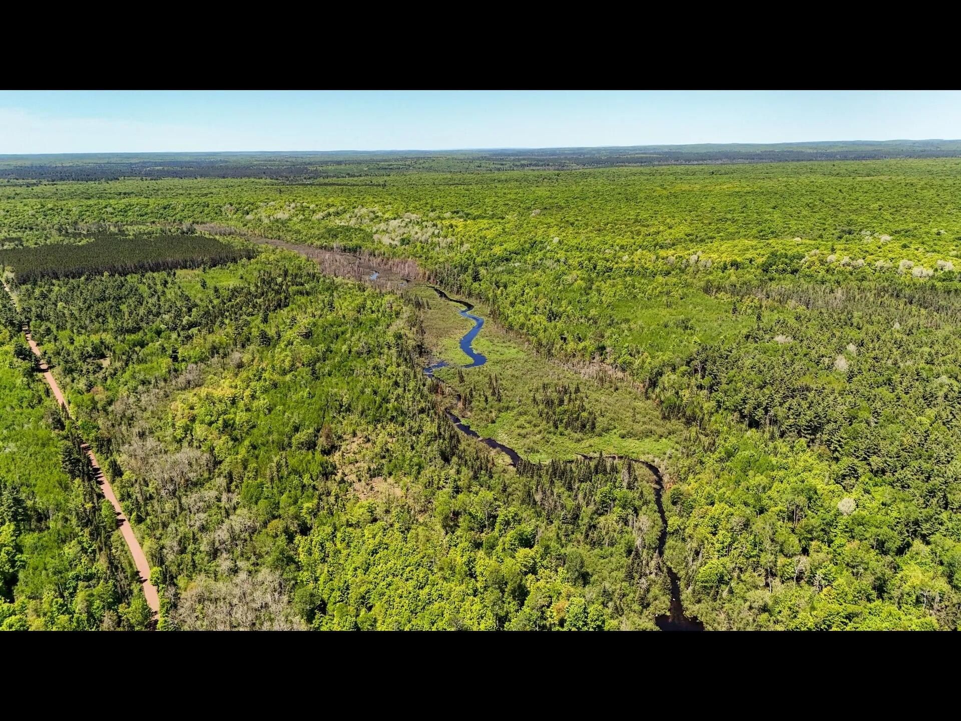 16 Federal Forest Highway Iron River, MI 49935 - Photo 5 of 12 6