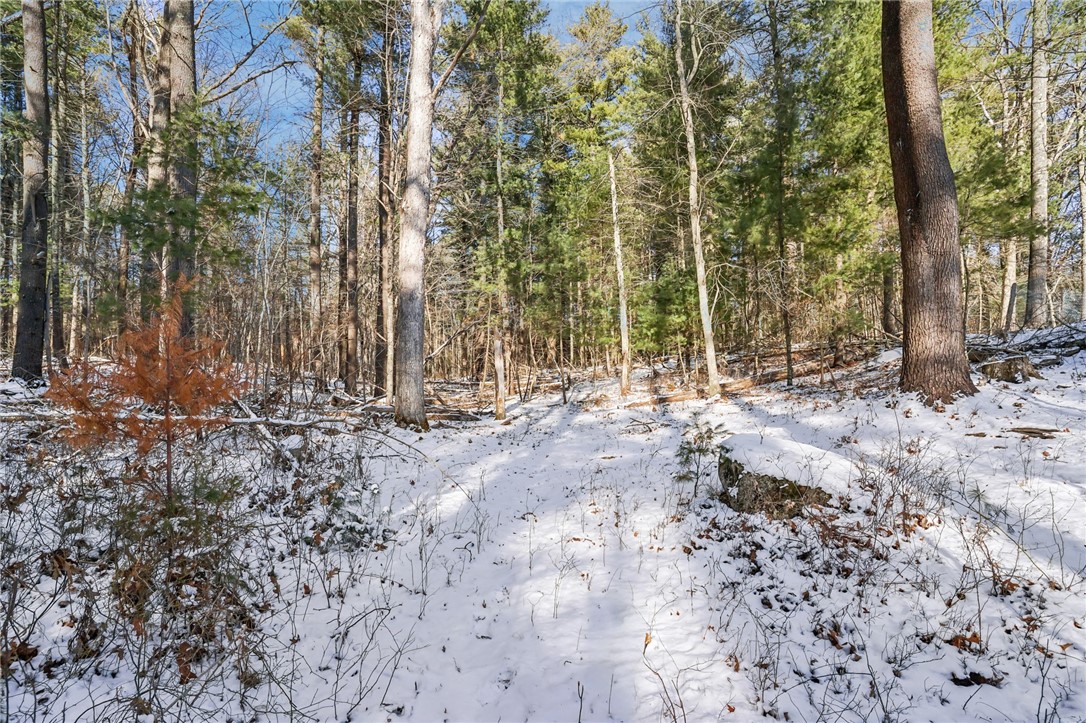 370 Maple Valley Road Coventry, RI 02816 - Photo 40 of 46