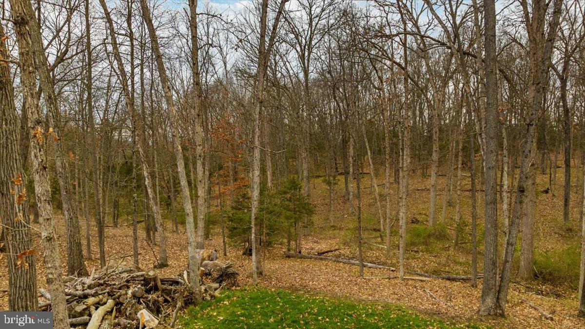 3 Huttle Road Middletown, VA 22645 - Photo 11 of 12