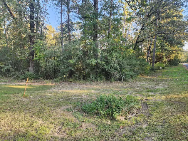 a view of outdoor space and yard
