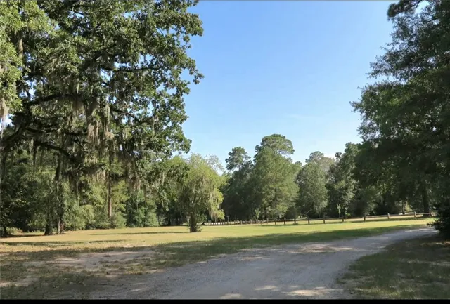 a view of a golf course with a trees