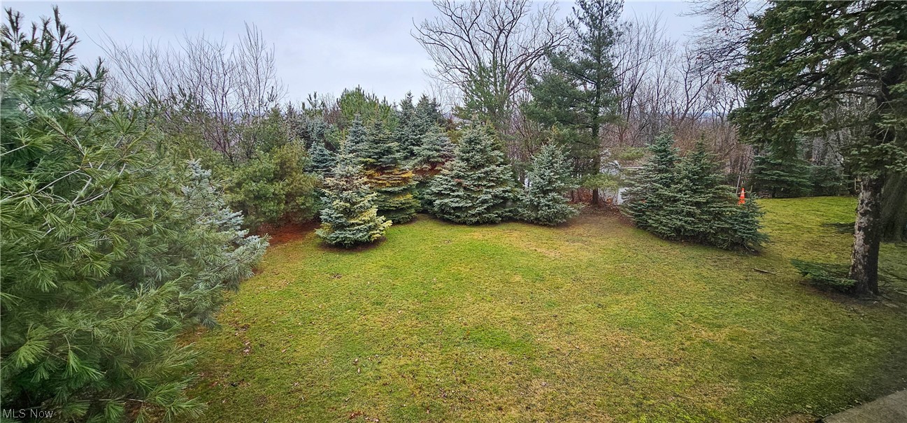 19755 Upper Terrace Road Euclid, OH 44117 - Photo 21 of 38 Private back yard surrounded with white pine and blue spruce